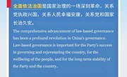 黨的二十大報告熱詞雙語說⑧丨全面依法治國