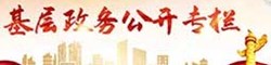民權(quán)縣基層政務(wù)公開(kāi)專題